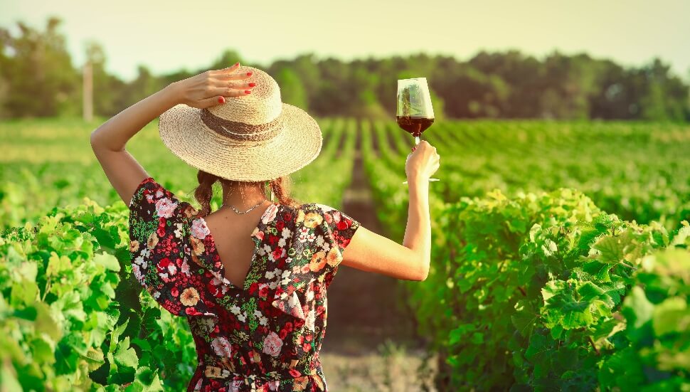 With a 970-ton annual grape production increase, Pennsylvania's wine industry climbed to 4th in the nation in 2023, supporting 10,756 jobs and contributing $1.77B to the state's economy annually.