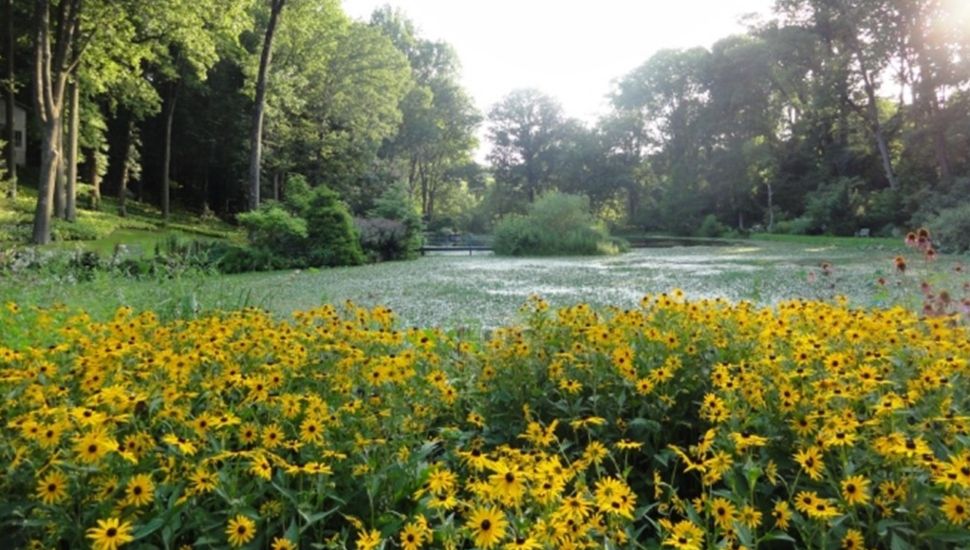 A field of flowers at the WynEden gardens in Chadds Ford.