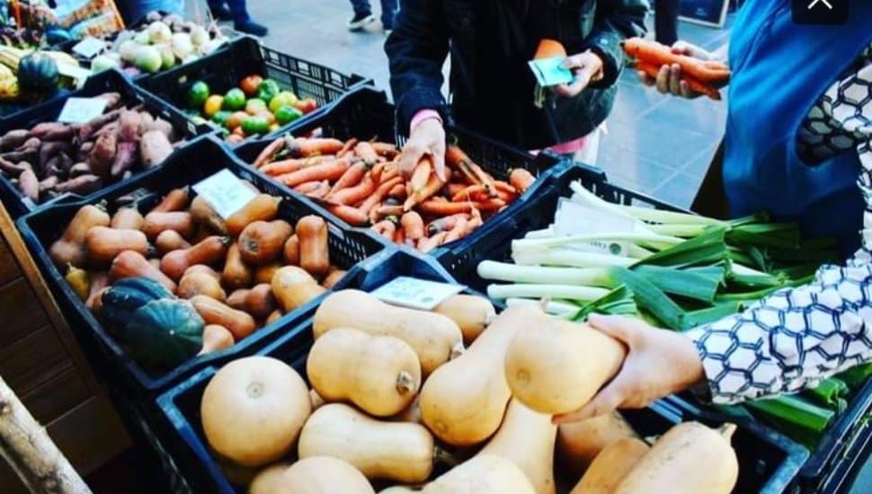 Customers check out fresh vegetables on a table.