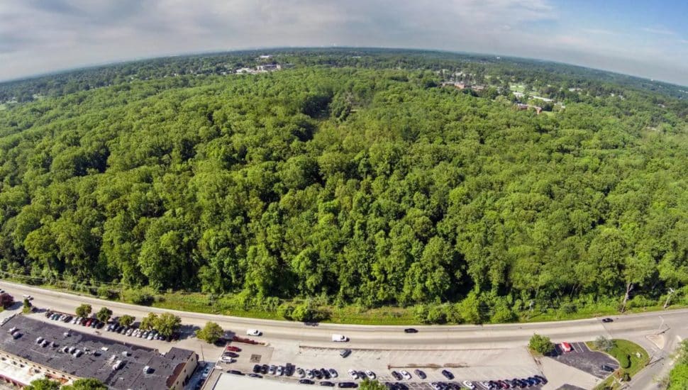 The newest and largest county park in Marple has been named Delco Woods.