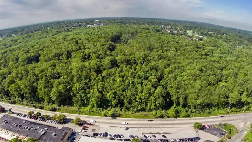 The newest and largest county park in Marple has been named Delco Woods.
