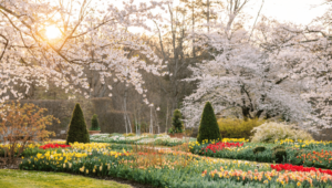 Discover diverse collections of beautiful flower and plant displays at Longwood Gardens, a top 25 botanical experience.