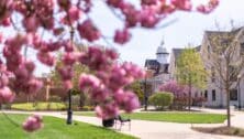 Old Main at Widener University when the cherry blossoms are blooming.