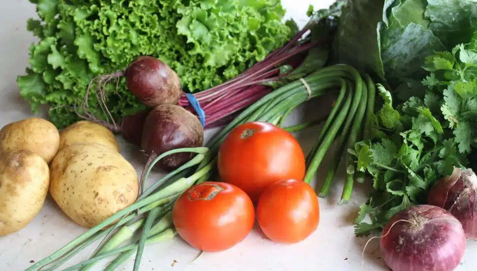 Different vegetables arranged in a group.