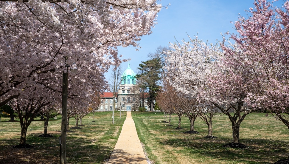 Immaculata University Campus in the spring.