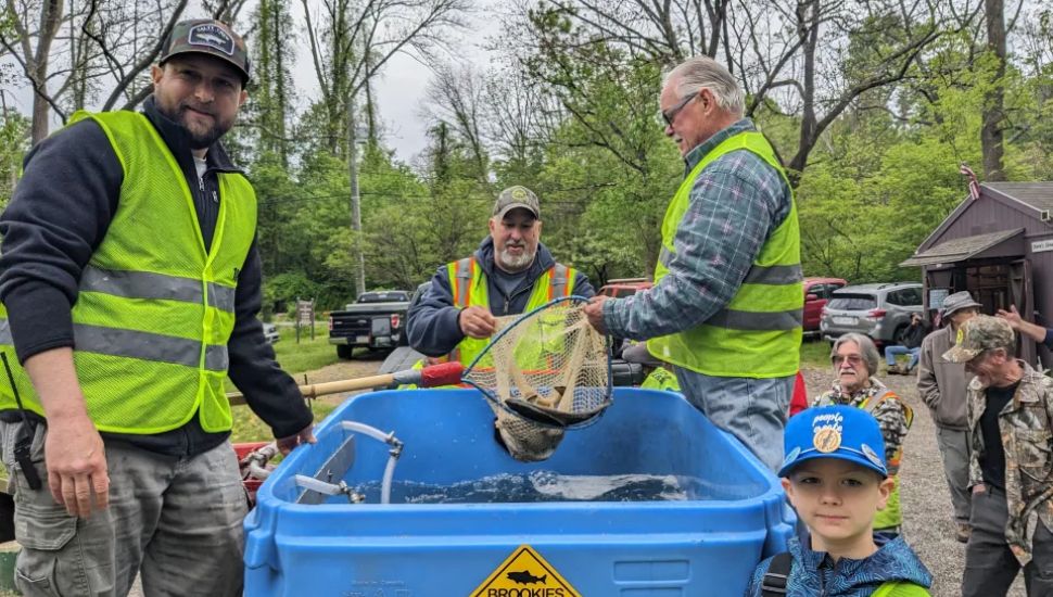 Members of the Delco Anglers transfer brook trout from the nursery tank to a trailer tank fr transport to a nearby creek.