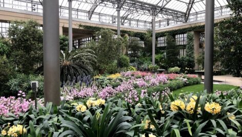 Longwood Gardens Conservatory. Explore Longwood Gardens, where nature's artistry awaits at every turn.