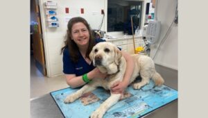 Image of Dawn Colket, a Veterinary Nursing alumna working at Hickory Veterinary Hospital since January 1994, with a dog at the vet.