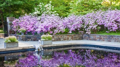 Winterthur Museum's Reflecting Pool was the first heated pool in America. Today, it serves as an elegant backdrop for wedding receptions and various events