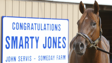 Smarty Jones, the Kentucky Derby winner born at Fairthorne Farm, recently bit one of his fans - but there were no hard feelings.