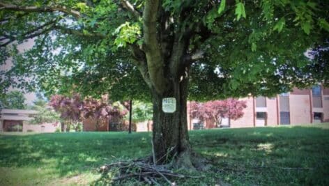 The 213-acre site at Sproul Road and Reed Road in Marple Township was home to the Don Guanella School.