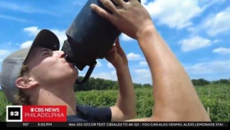 Linvilla Steve Griffith takes a much-needed water break while working the fields at the orchard.