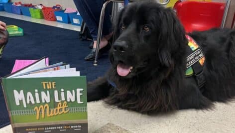 A black dog is reading a copy of 'Main Line Mutt' by authors Nancy M. and Michael S. Schwartz.