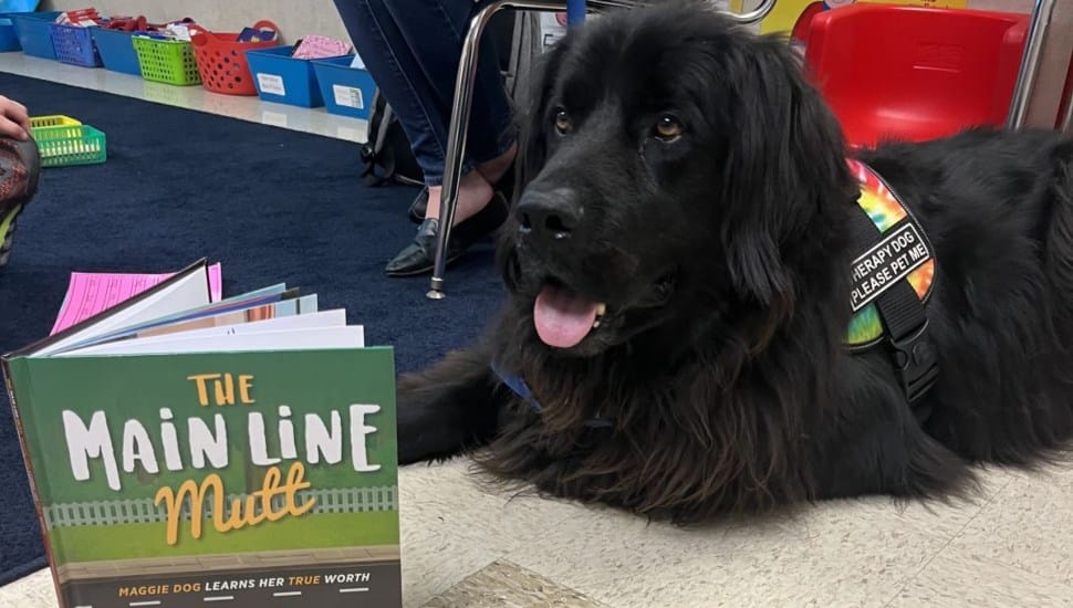 A black dog is reading a copy of 'Main Line Mutt' by authors Nancy M. and Michael S. Schwartz.