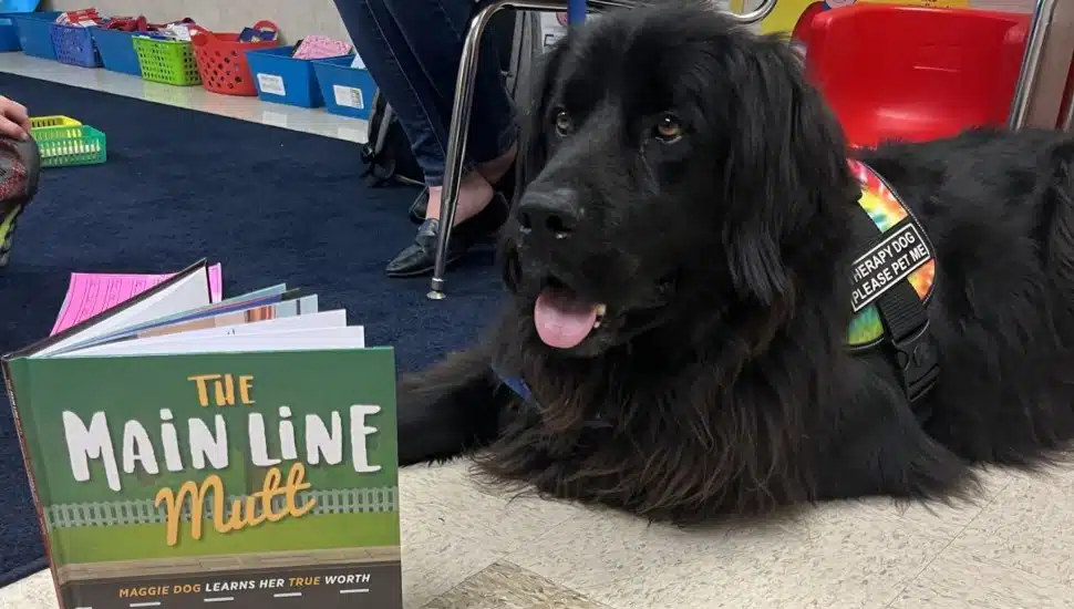 ‘Main Line Mutt’ Wows Radnor Nursery School Kids With Message of Being Different