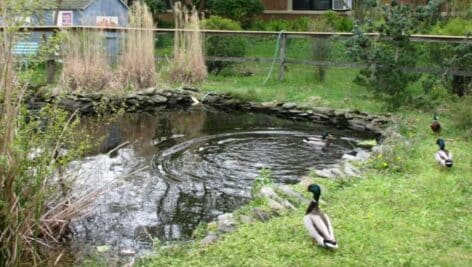 The Ecology Center at Scenic Hills Elementary School.