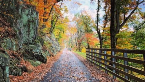 A beautiful fall day walking the Chester Creek Rail Trail in Aston and Middletown Townships.