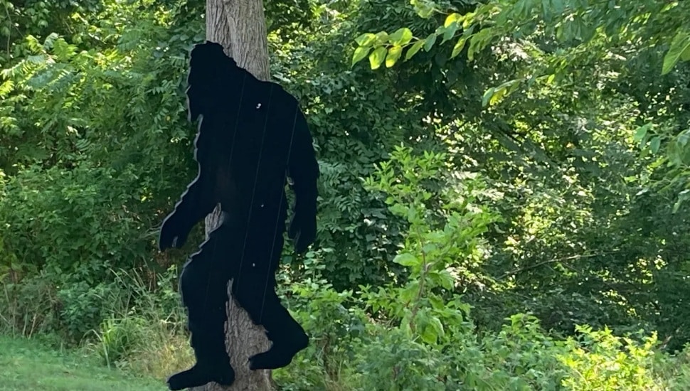 An unexpected sighting of an 8-foot tall Bigfoot figure has turned heads and sparked amusement among Bensalem residents.