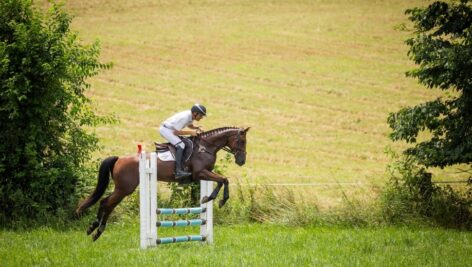 Boyd Martin, an equestrian rider and owner of Windurra USA, a farm and training facility in Chester County, is ready for his fourth Olympics.