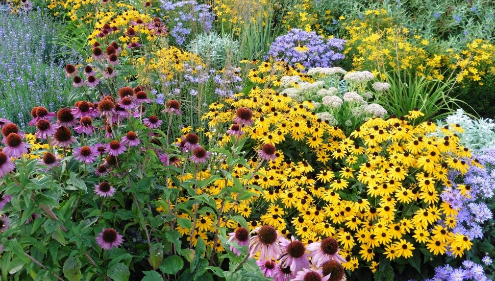 The Elkins Park home of Rich and Angela McCracken backs onto a lush garden that took the pair years to cultivate.