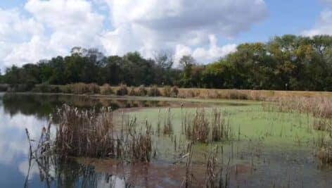 John Heinz National Wildlife Refuge at Tinicum.