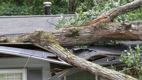 A tree limb crashed down on to the roof of a house.