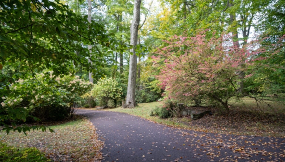 The historic Oakwell Estate is being sold to Natural Lands, based in Media, who plans to preserve the property, including up to 700 trees there.