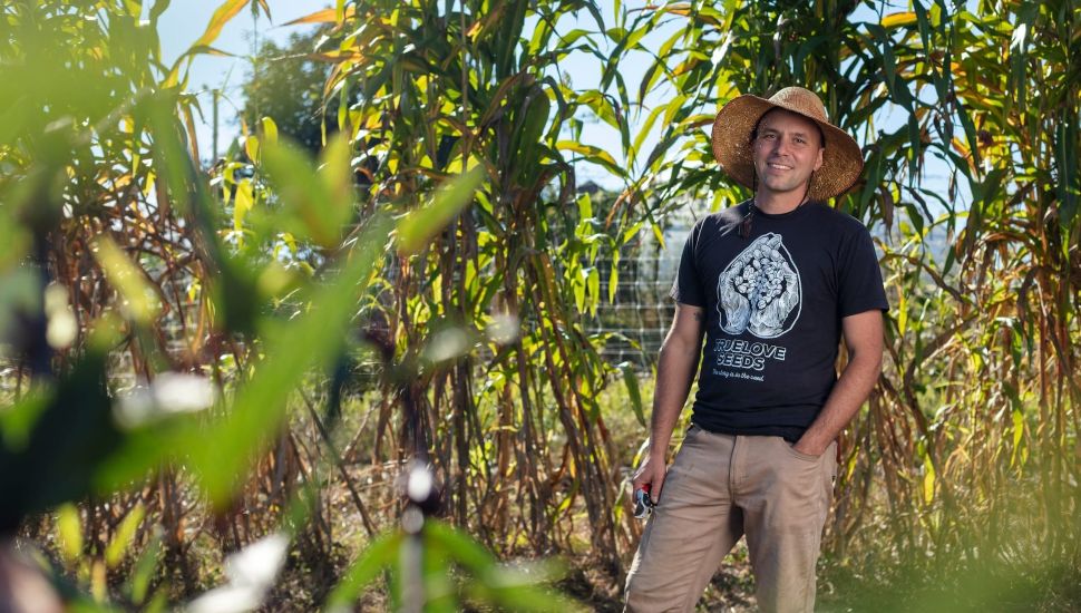 Owen Taylor out in the fields at Truelove Seeds Farm in Glen Mills.