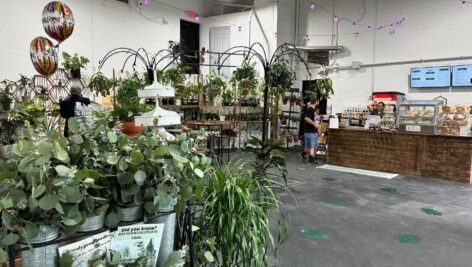 Downtown Sellersville is welcoming two new women-owned businesses, Just One More Plant and The Fizzy Fern.