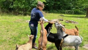 Michael and Melissa Meacham turned an outdated 1990s home into a modern Green Lane farmhouse they named the Screaming Goat Farm.