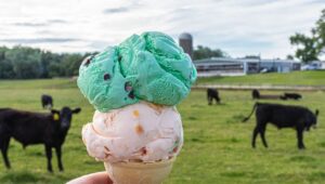 An Ivyland creamery got the seal of approval from two “ice cream officers” working for the American Dairy Association North East.