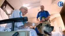 A Council Rock High School teacher is helping patients at Doylestown Hospital get some much-needed puppy love.