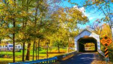 Bucks County has been named the top destination for fall foliage in 2024, according to Priceline’s travel search data.