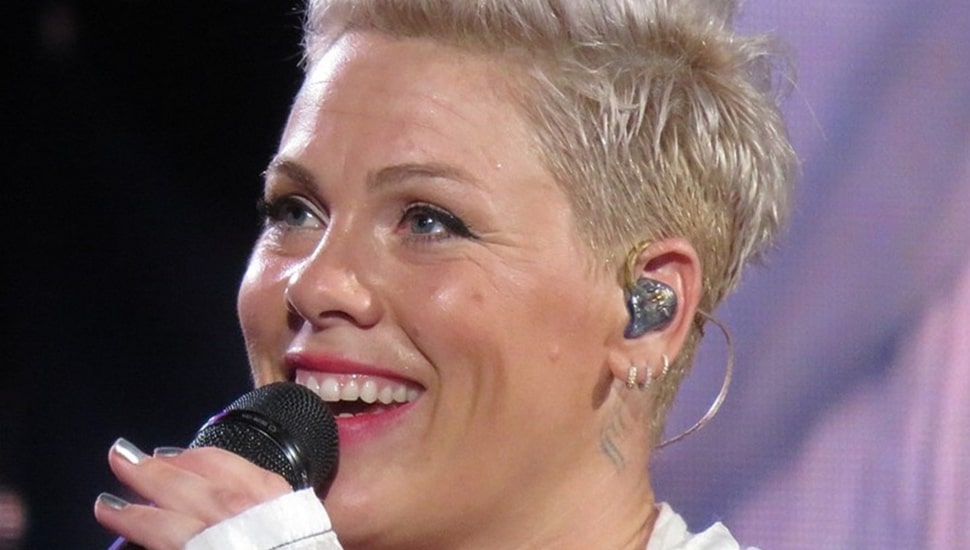 Doylestown native Pink, was once again her unabashed, acrobatic, self during her latest concert at Lincoln Financial Field.