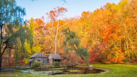 New Hope has made it on to a best fall foliage list.