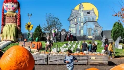 A visit to Linvilla's Pumpkinland with pumpkins, scarecrows and a witch's house.