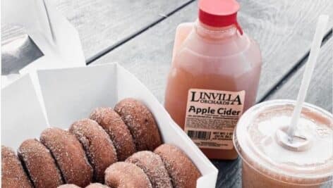 You can find some tasty apple cider and apple cider doughnuts at Linvilla Orchards.