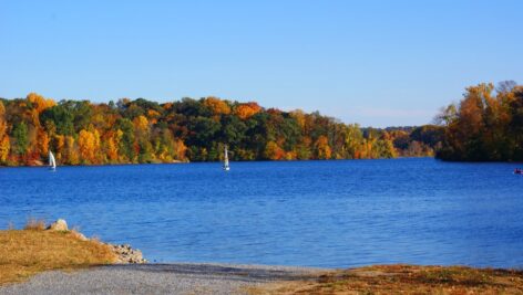 Pennsylvania is a beautiful place to live with plenty of nature to enjoy, including living on a lakeside in Chester County.