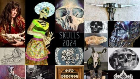 A collage of different artwork depicting skulls, bones and skeletons.