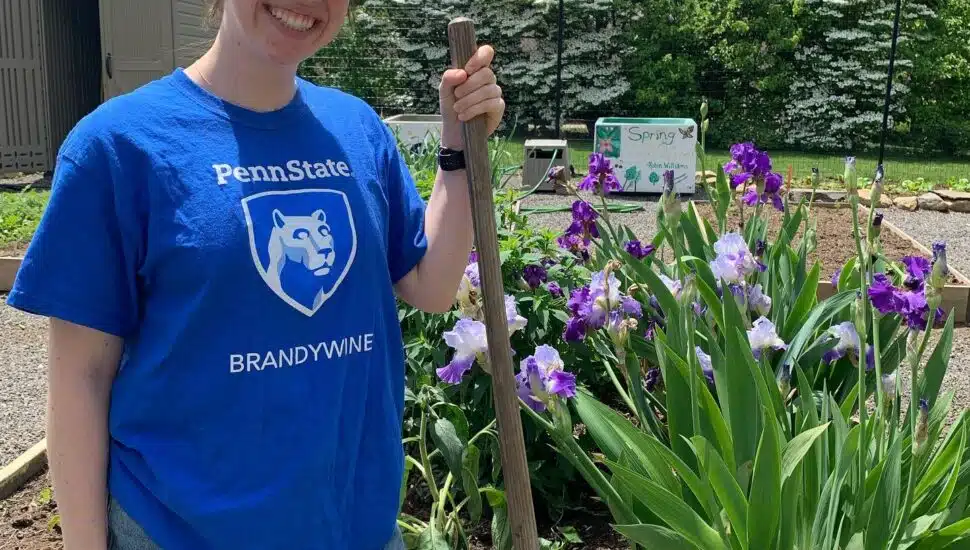 Penn State Brandywine Campus Garden Student Coordinator McKenna Loney has ben prepping and planting in the sustainable garden.