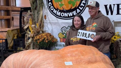 Dave and Carol Stelts winning a competition last year with their 2109 lbs. pumpkin.