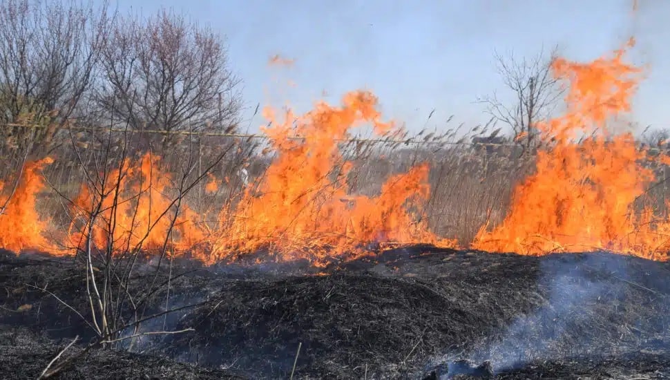 A brush fire in a dry field of grass.