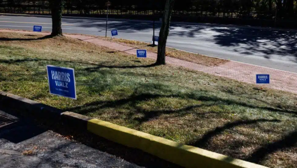 Some Harris/Walz political signs on a lawn.