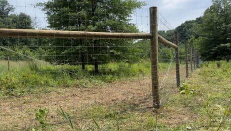 An eight-foot-tall fence placed around the forest land at the Hildacy Preserve in Media.