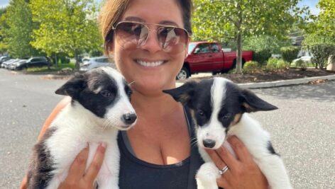 A woman holds two small dogs.