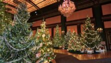 A Christmas tree display at Longwood Gardens.