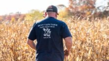 Penn View farmer Mark Hockman surveys his drought-stricken field.