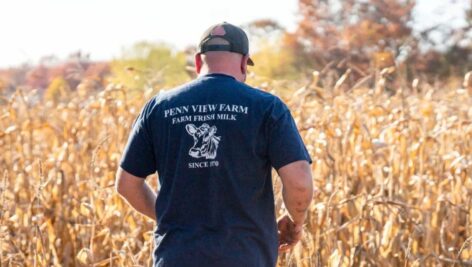 Penn View farmer Mark Hockman surveys his drought-stricken field.