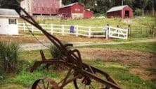 An agricultural scene at the Deer Creek Malthouse in Glen Mills.