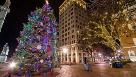 A lit Christmas tree in a downtown location.